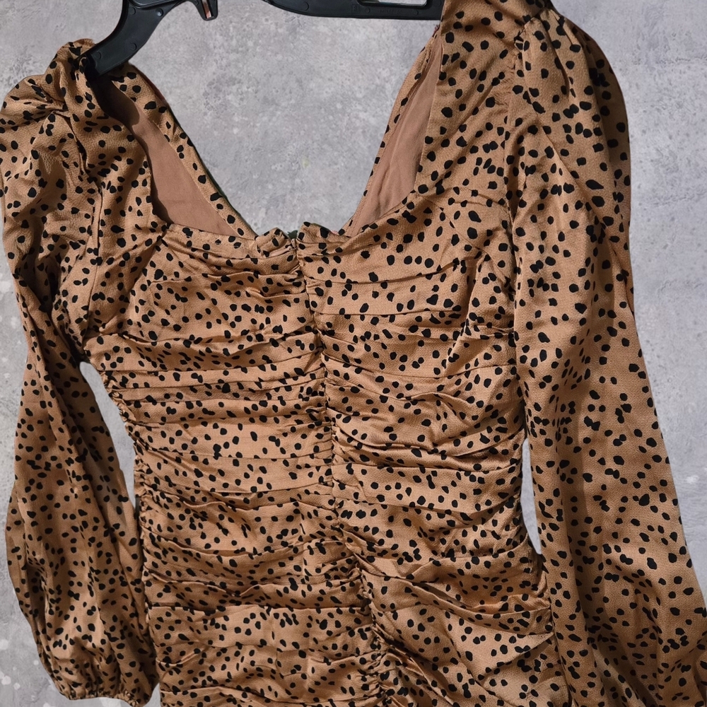 Leopard Print Mini Dress